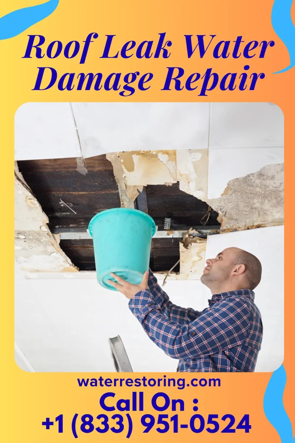 Roof Leak Water Damage Repair in Guion, AR